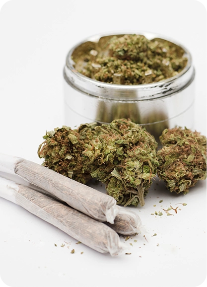 Medical marijuana card in Tampa