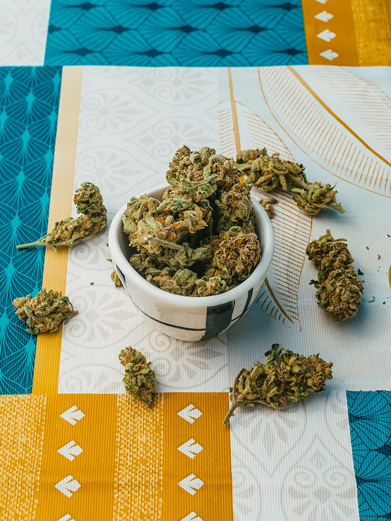Cheap medical cannabis card in Florida same day approval